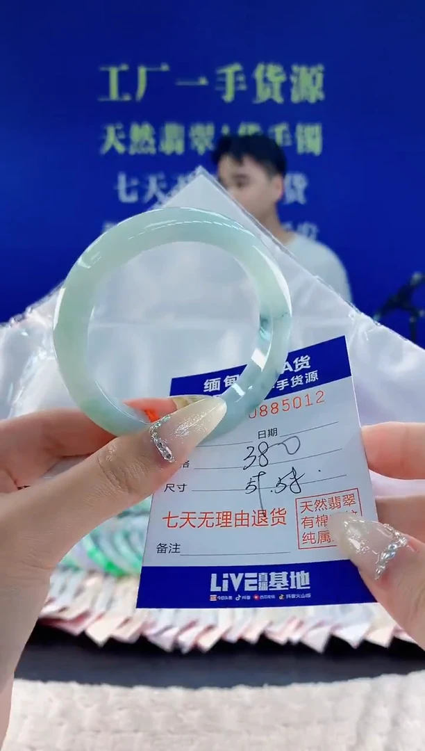 未镶嵌手镯翡翠12