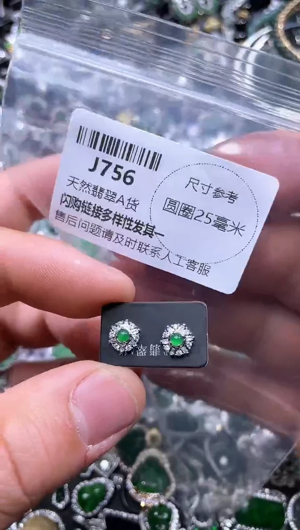 【闪购商品】翡翠颈饰未镶嵌J756耳钉