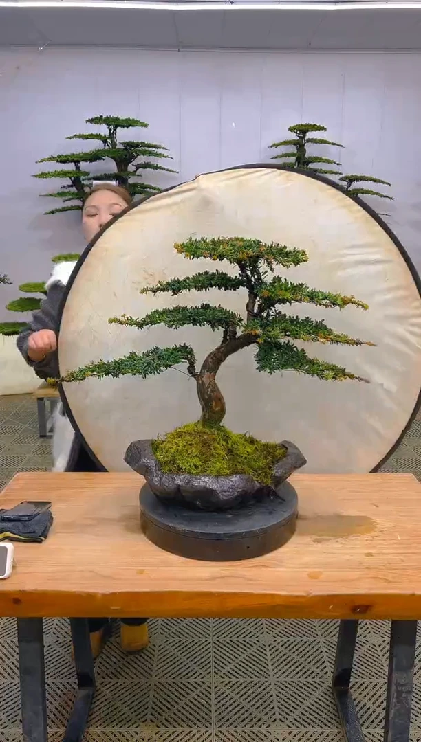 无花朵一物一拍一物一拍