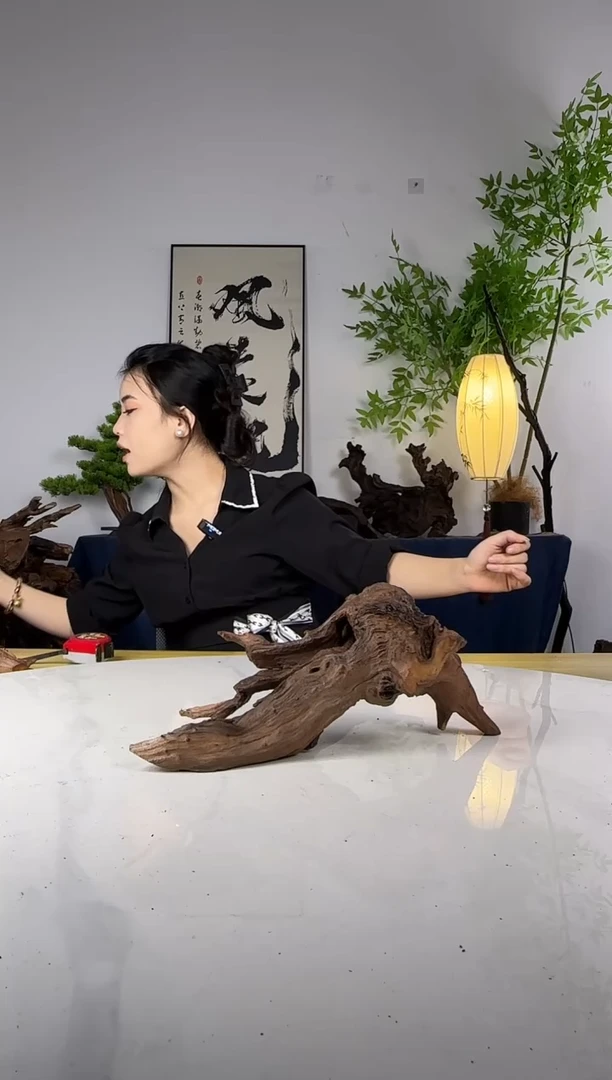 人**茶拍这个定向编号19