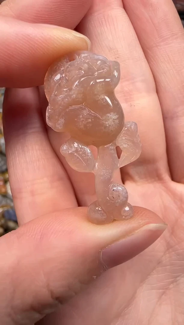 硅化珊瑚（珊瑚玉）未镶嵌颈饰106