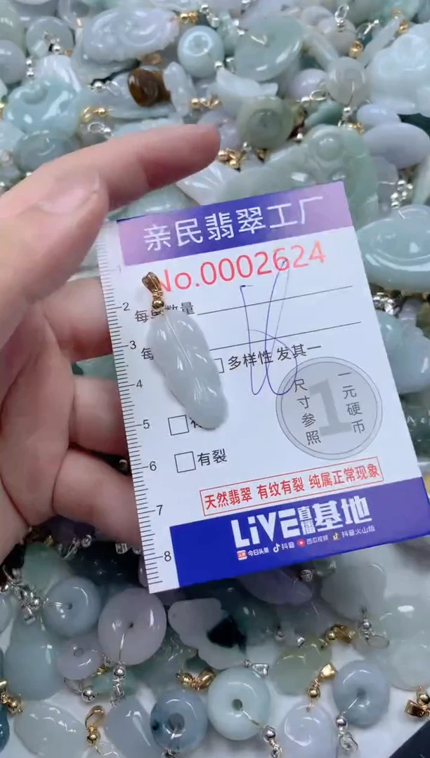 颈饰未镶嵌翡翠2624