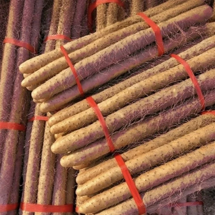 净重5斤大果】正宗温县垆土铁棍山药新鲜农家菜焦作垆土铁棍山药