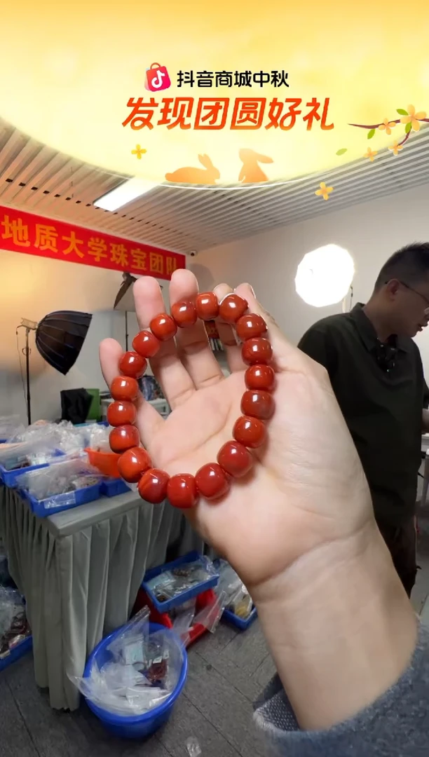 未镶嵌手串南红玛瑙12mmDYL-南红玛瑙老型珠满色手串