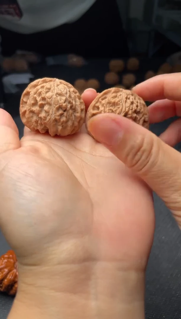 把件文玩核桃w190   白狮子  40