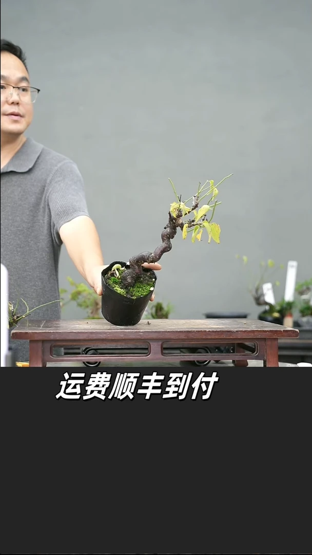 花**草65