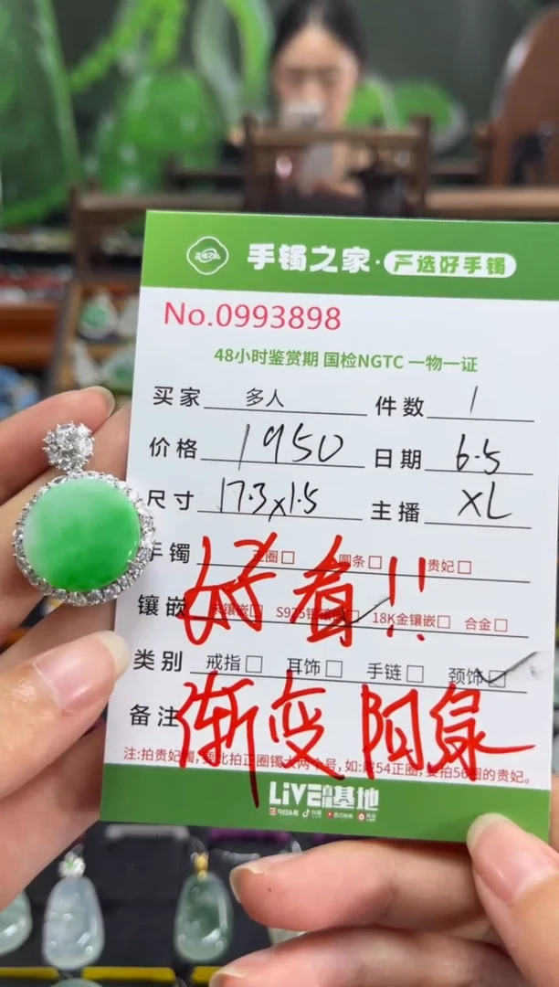 翡翠银S925镶嵌颈饰多人