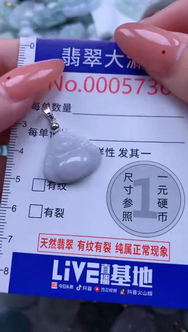 翡翠未镶嵌吊坠(不含链)5736