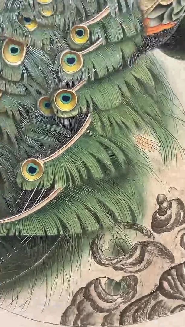 国画王辉-4平尺-花鸟国画
