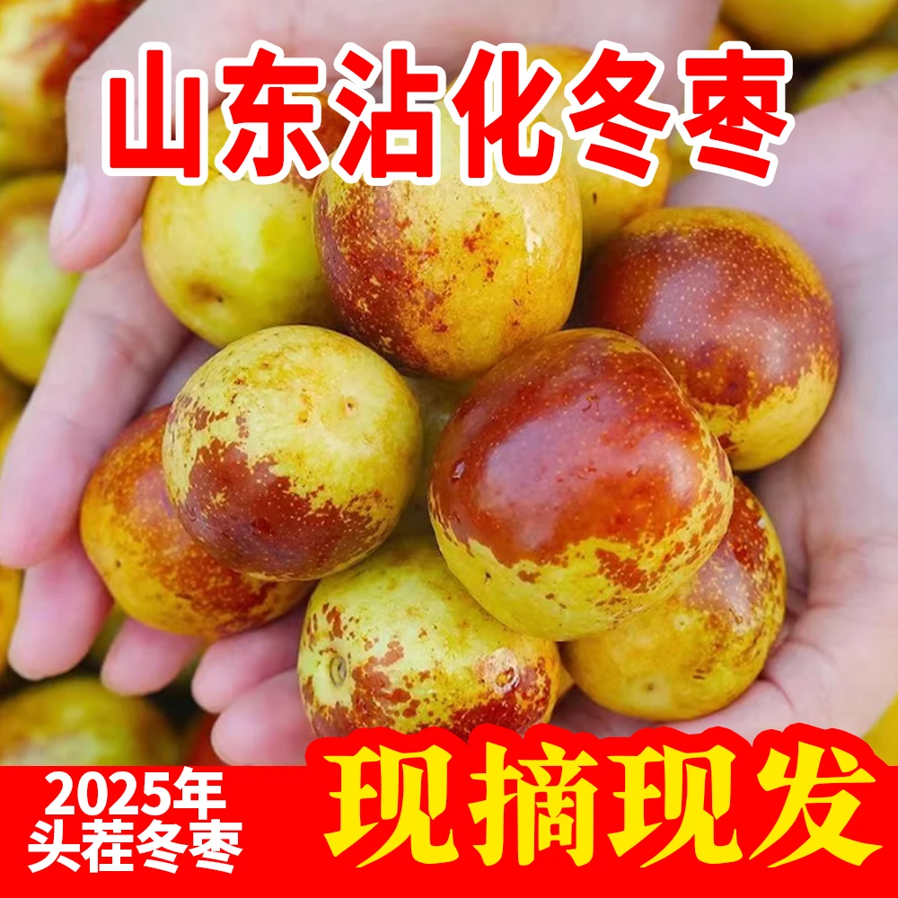 W山东沾化现摘冰糖冬枣脆甜多汁当季新鲜水果
