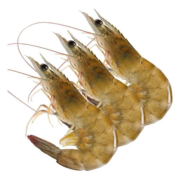 鲜活明虾 500g(30头以内)