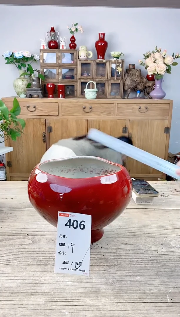 晴好园艺直播编号406