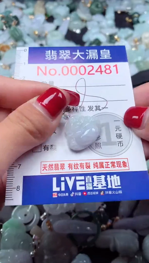 颈饰未镶嵌翡翠2481