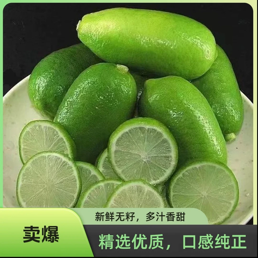 广东香水柠檬鲜果新鲜摆摊现摘手打柠檬茶无籽青柠产地直销
