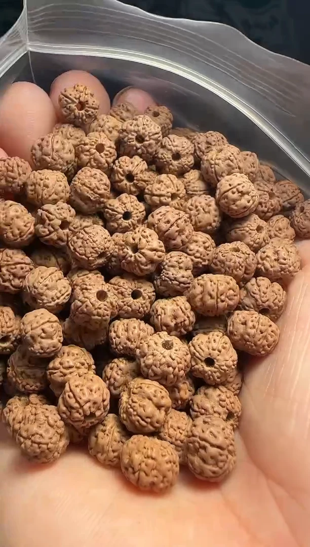 手串金刚菩提非全品老树玉梅花散籽8-9mm一份一百颗