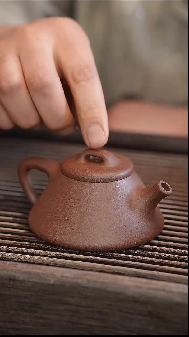 茶壶紫砂纳瓢 变色龙 半手工 150cc