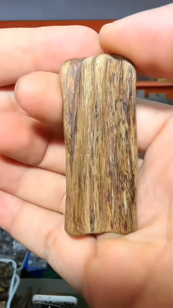 沉香吊坠116号红土多样性发一