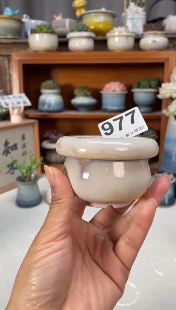 瓷片977知木小方花盆直播编号