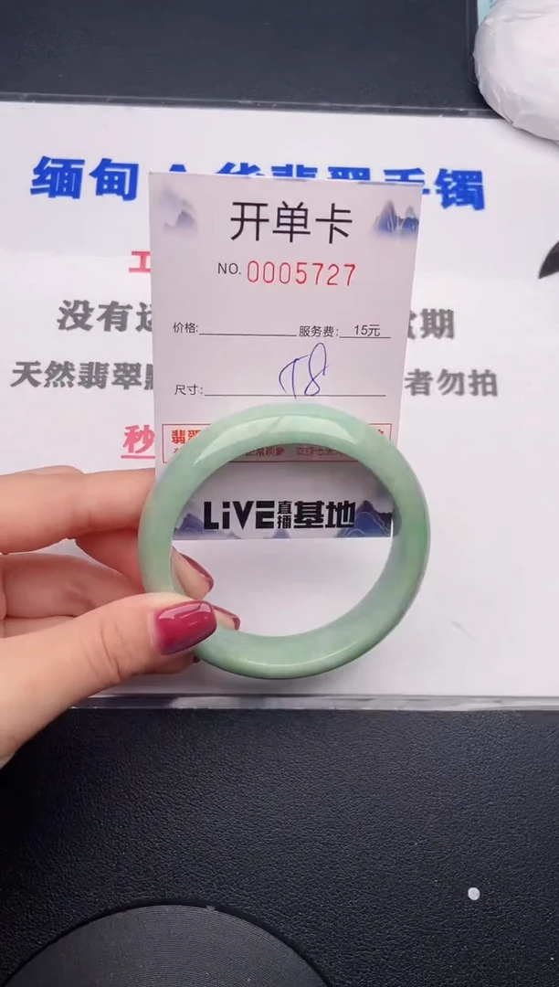 未镶嵌手镯翡翠27