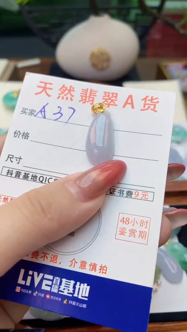 颈饰未镶嵌翡翠天然A货翡翠挂件