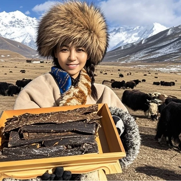 清真无防腐剂青藏高原雪山风干牦牛肉孕妇解馋小零食嚼劲五香香辣