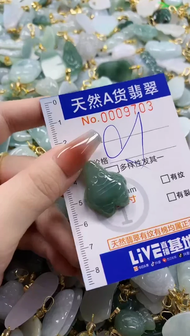 颈饰未镶嵌翡翠天然A货翡翠