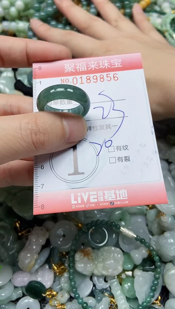 翡翠未镶嵌颈饰闪购0189856
