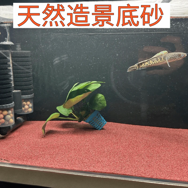 紫晶雨林沙雨淋沙红沙石榴沙鱼缸底砂鼠沙精品红慈鲷雷龙萨伊造景