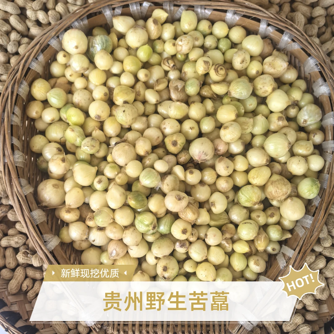 贵州野生苦藠洗干净的薤白新鲜现挖采摘仡佬族人民泡菜出口苦藠