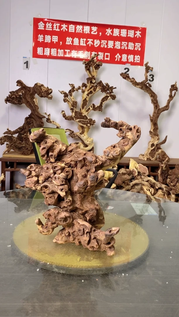 【闪购商品】香榧木枯树摆件 粗磨粗加工半成品 毛料