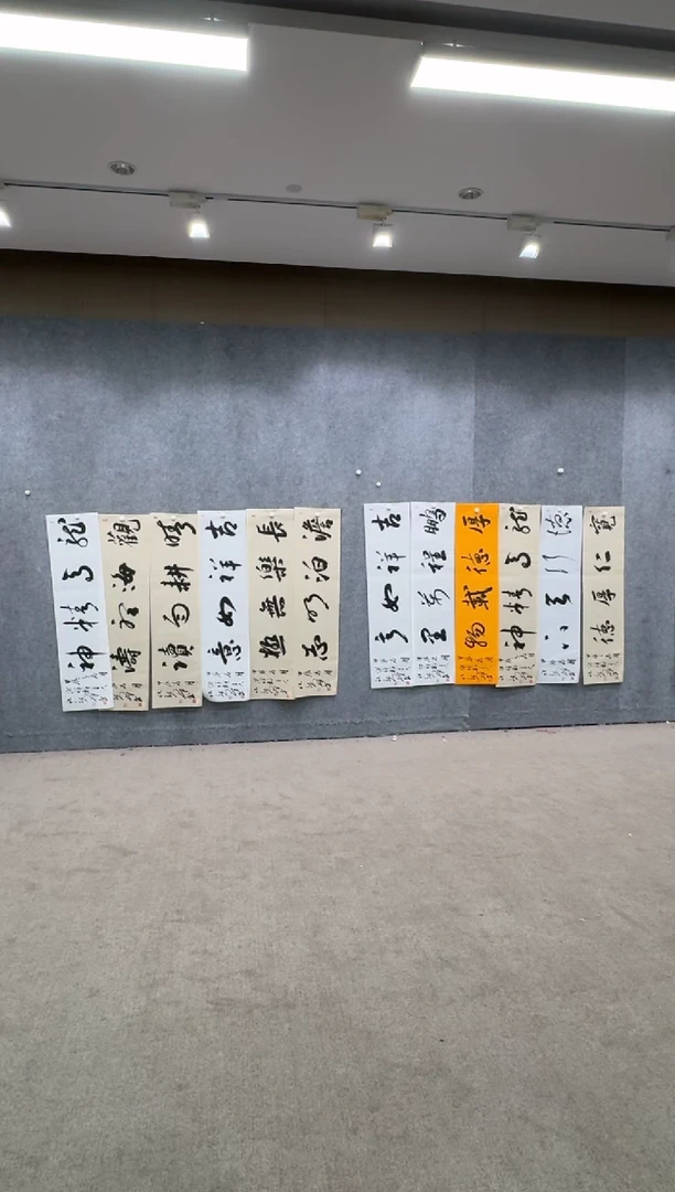 【闪购商品】书法pmw不二轩旗舰店书法ZXQ10