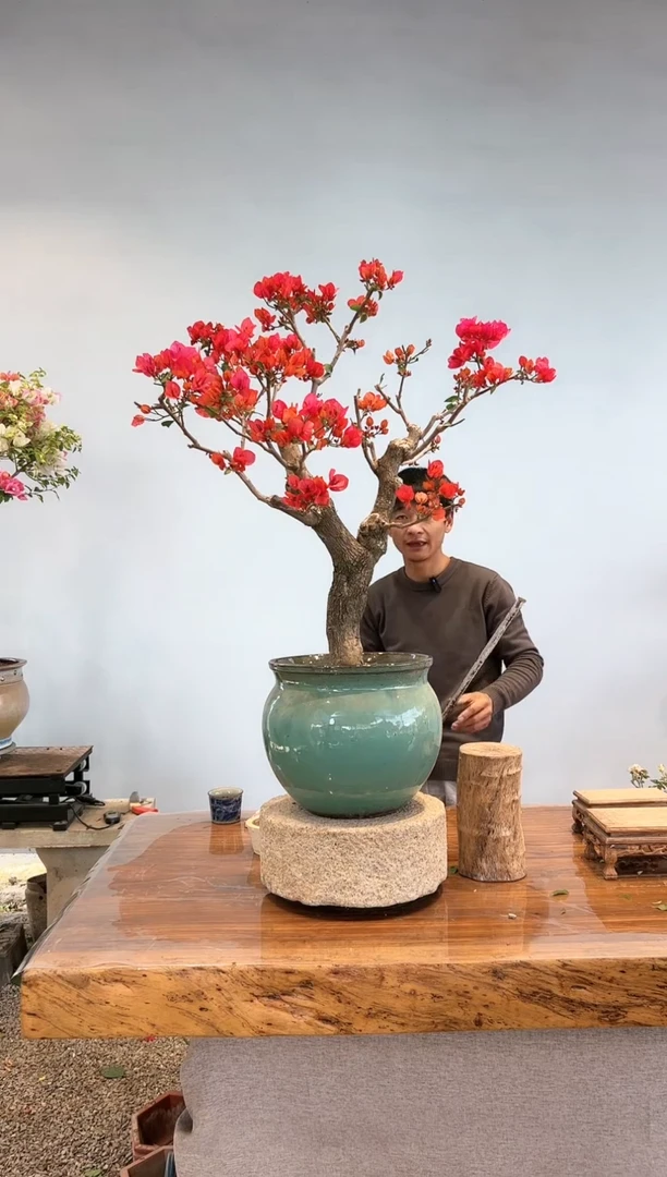 【闪购商品】aa923