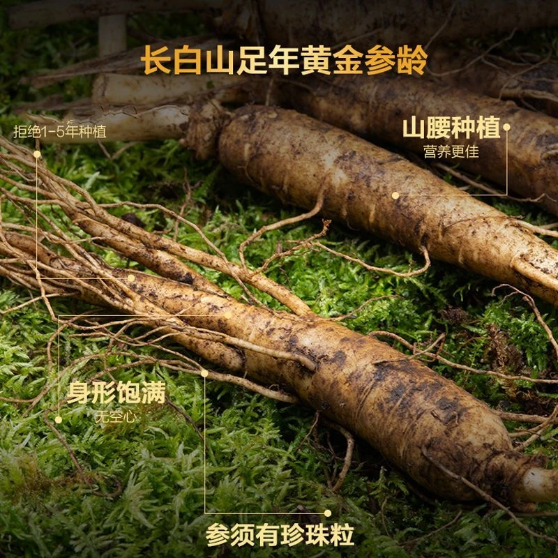 1号 长白山鲜人参煲汤泡水泡酒