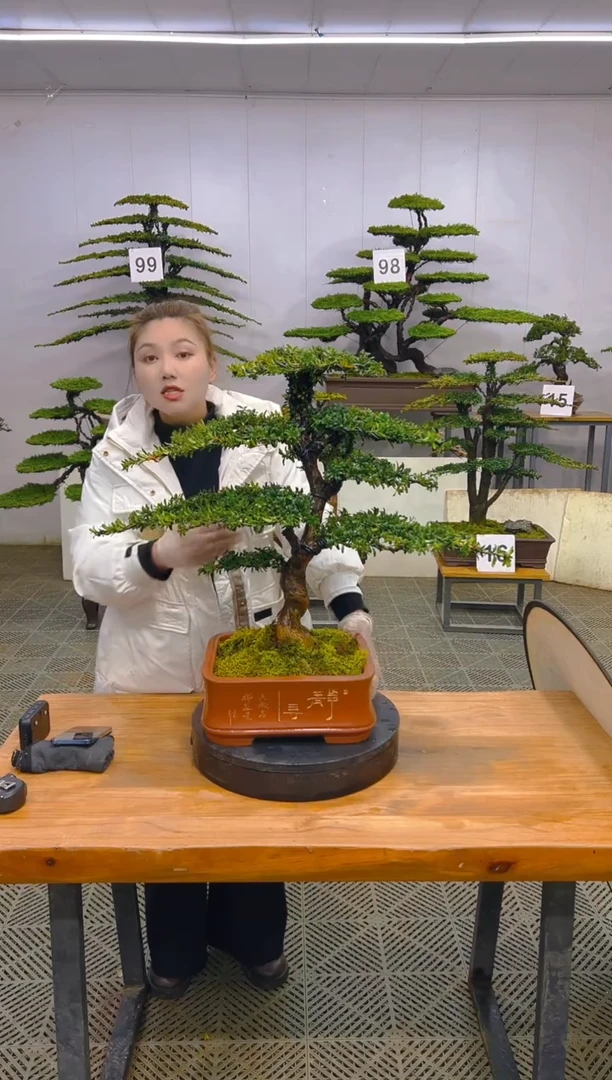 无花朵一物一拍一物一拍