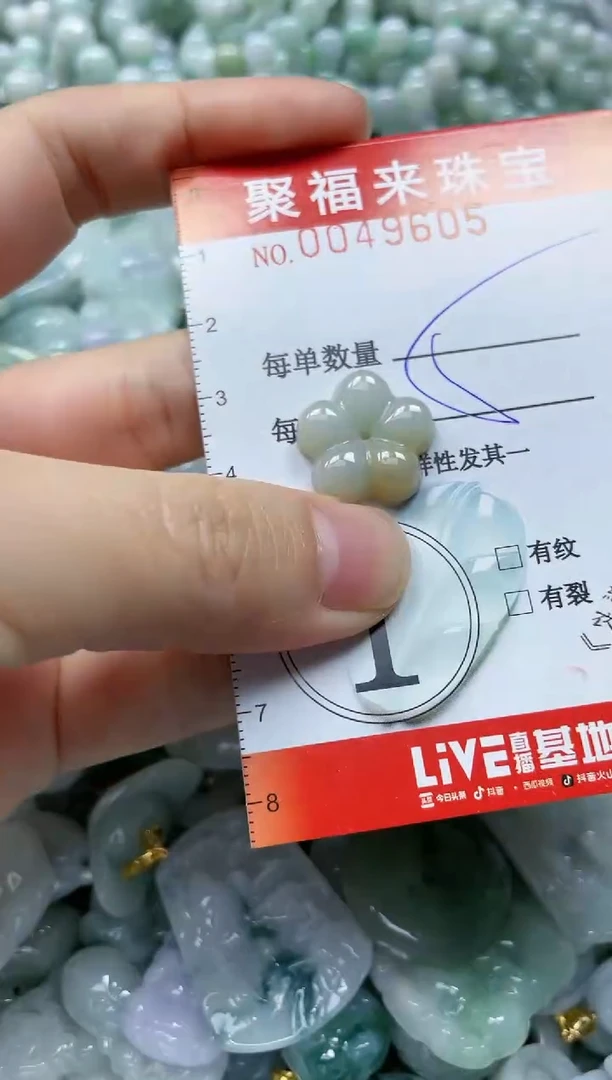 【闪购商品】翡翠颈饰未镶嵌闪购0049605