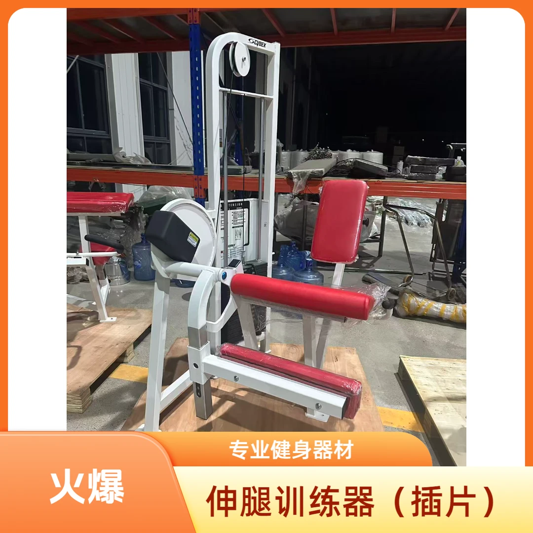 伸腿训练器（插片）