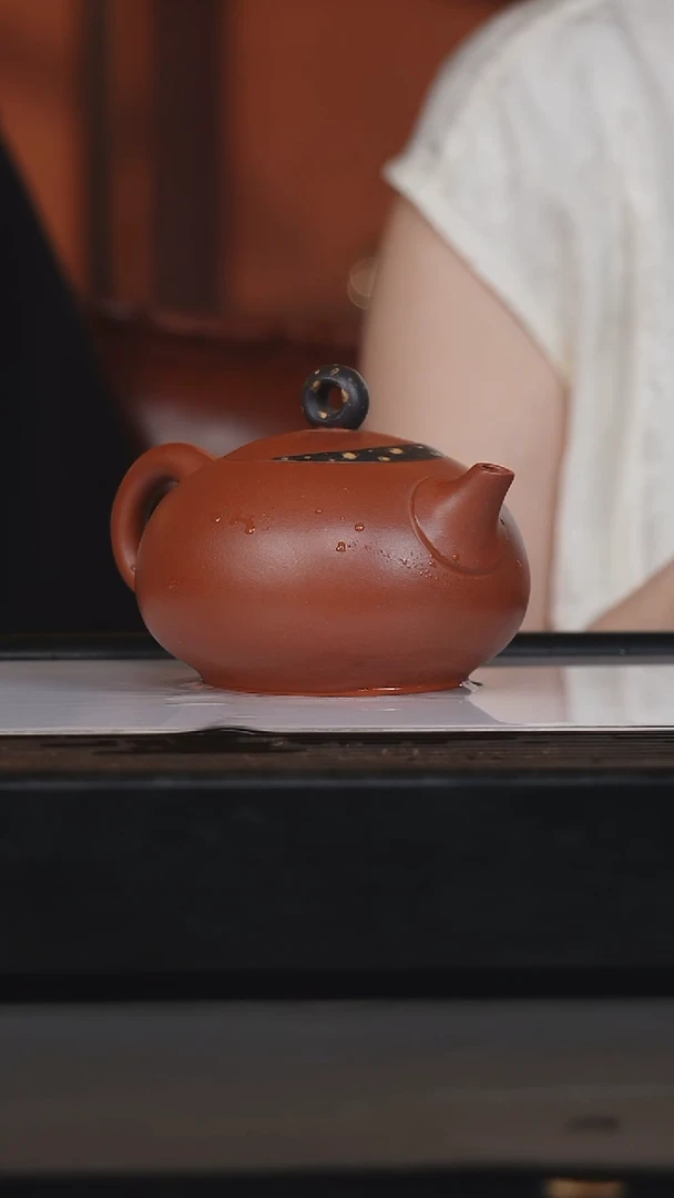 茶壶紫砂张建明紫砂壶日月同辉