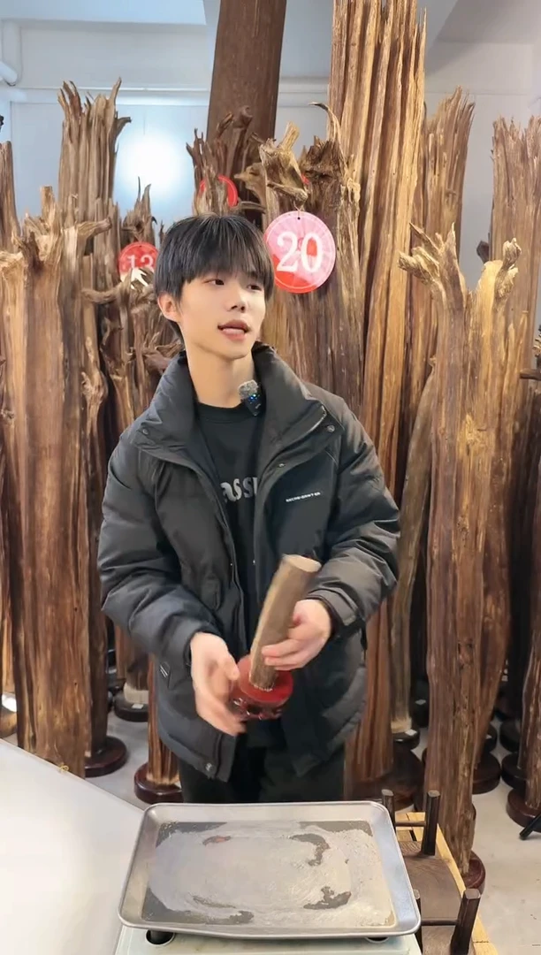 【闪购商品】沉香摆件沉香摆件多样性发一件87