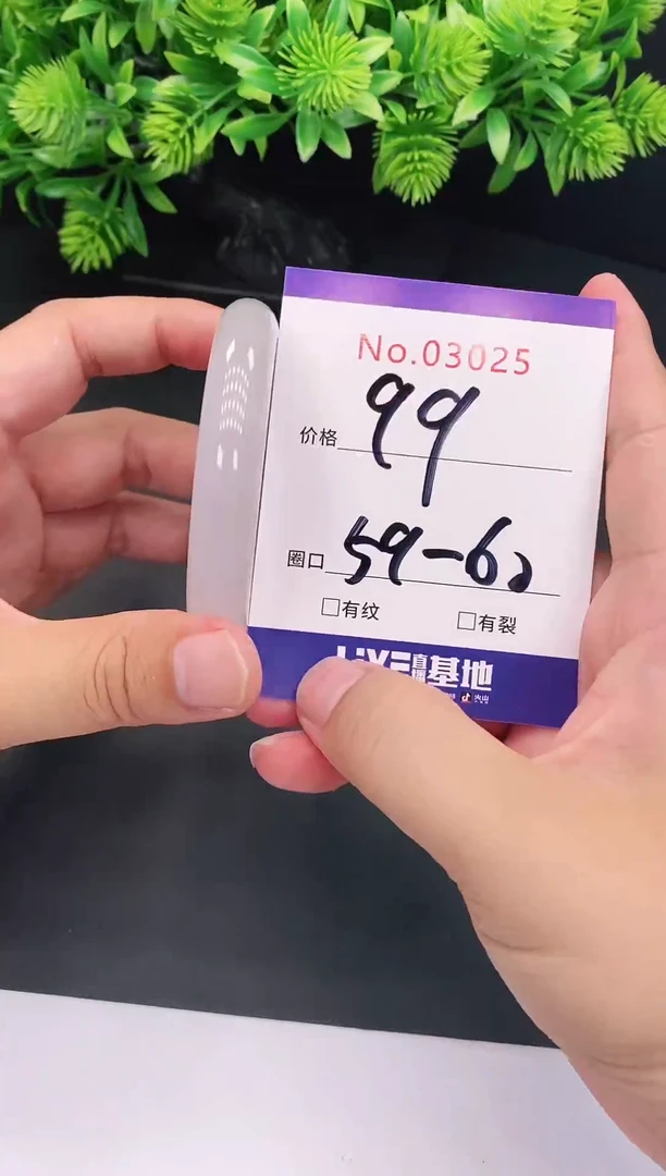 未镶嵌手镯翡翠3025