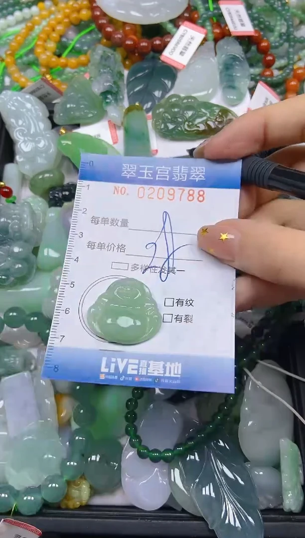 颈饰未镶嵌翡翠闪购C0209788