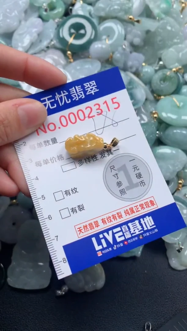 颈饰未镶嵌翡翠2315