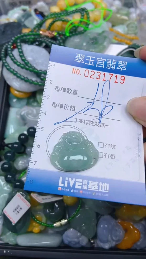 颈饰未镶嵌翡翠闪购C0231719多样性发其一