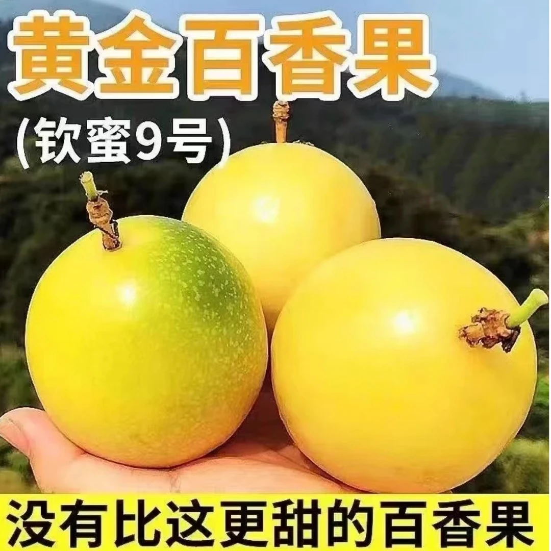 正宗钦蜜九号黄金百香果广西海南新鲜大果孕妇儿童当季水果S3