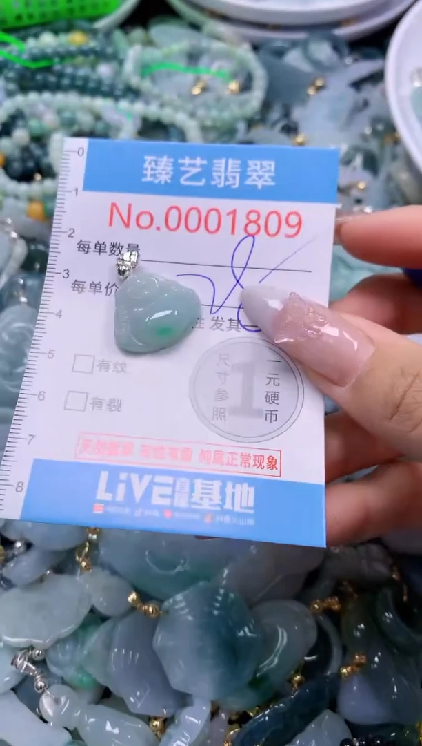 翡翠未镶嵌颈饰1809