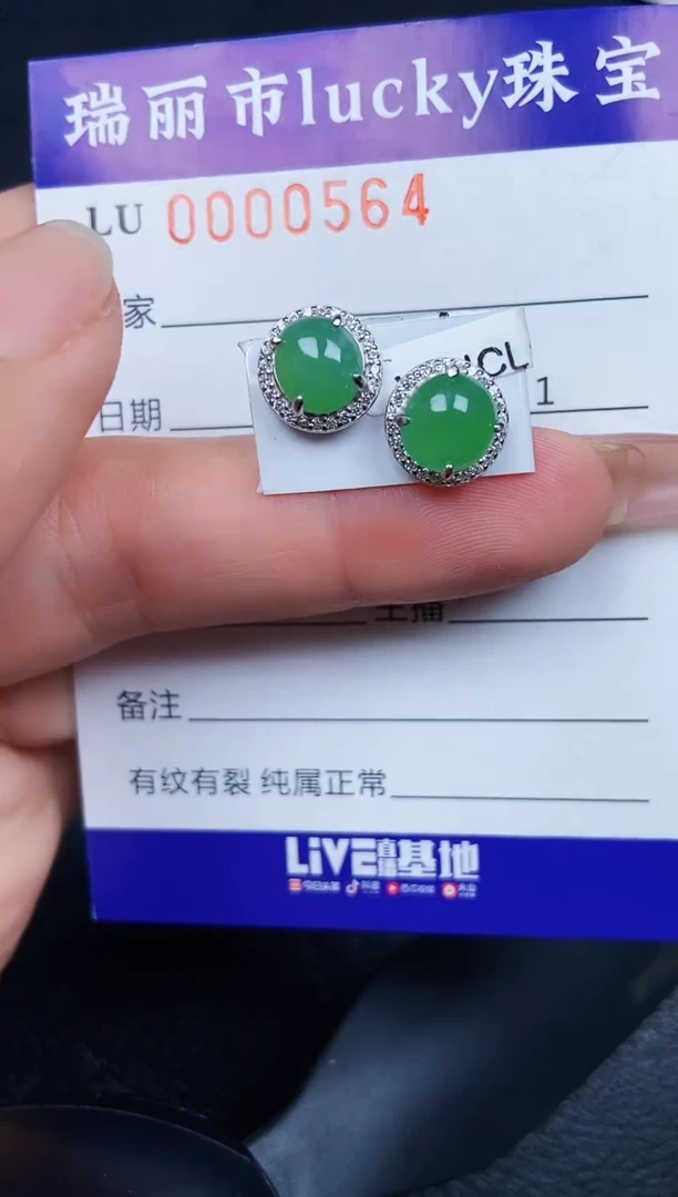 翡翠银S925镶嵌颈饰0564