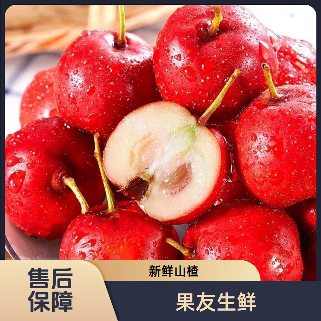 【山楂鲜果】大个儿 风味足 净果3斤/1份 太原晋中吕梁忻州拍