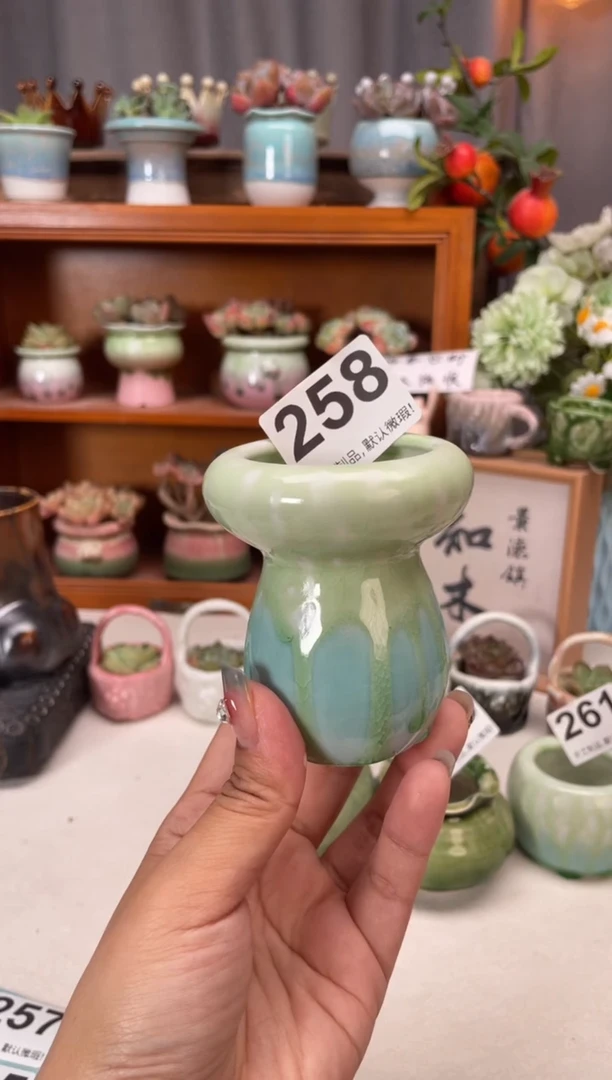 瓷片258微瑕知木小芳花盆编号
