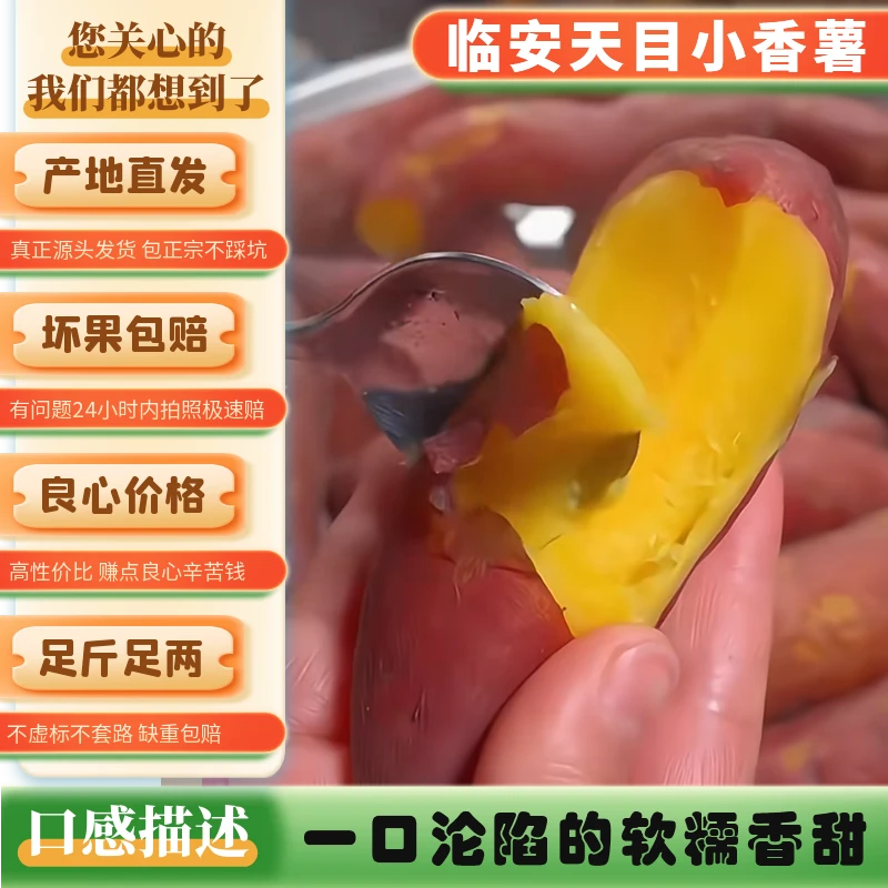 正宗天目山小香薯沙地板栗红薯软糯香甜红皮黄心新鲜现挖地瓜山芋