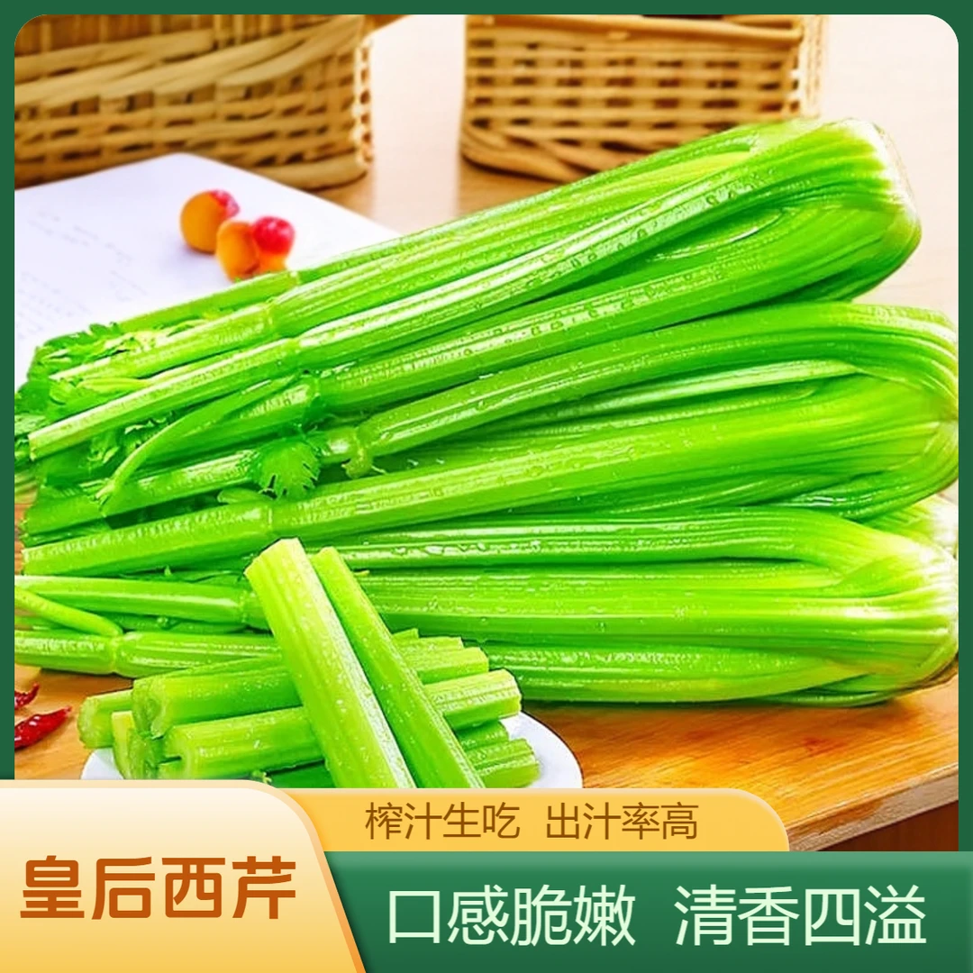 （手工精摘）农家正宗水果大西芹生吃榨汁现挖现发出汁率高农家芹菜