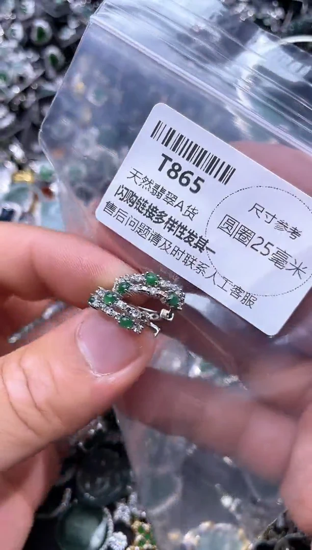 【闪购商品】翡翠颈饰未镶嵌T865耳扣